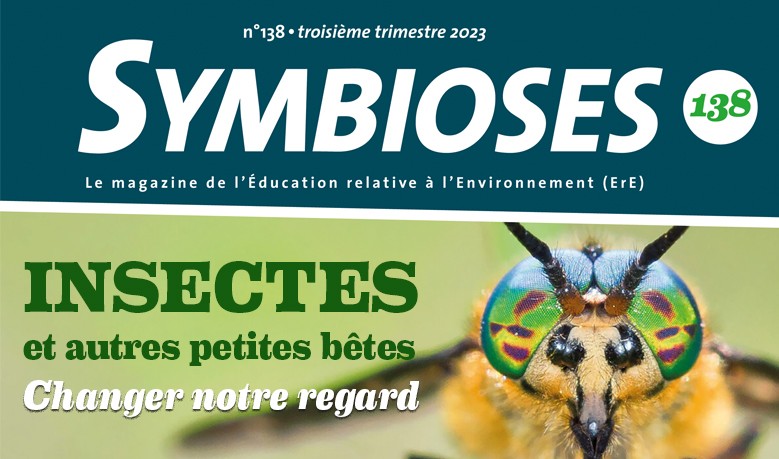 Insectes et autres petites b&ecirc;tes, changeons notre regard